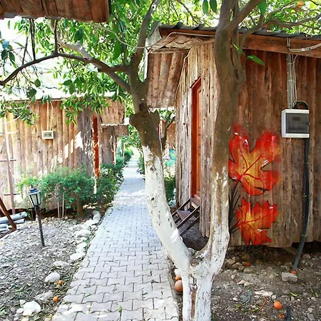 Olympos Ruya 3*