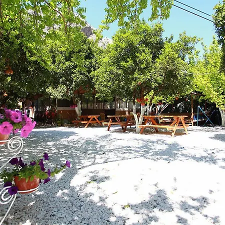 Olympos Ruya Hotel Çıralı